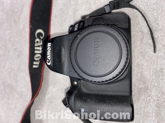Canon 77D & prime lense